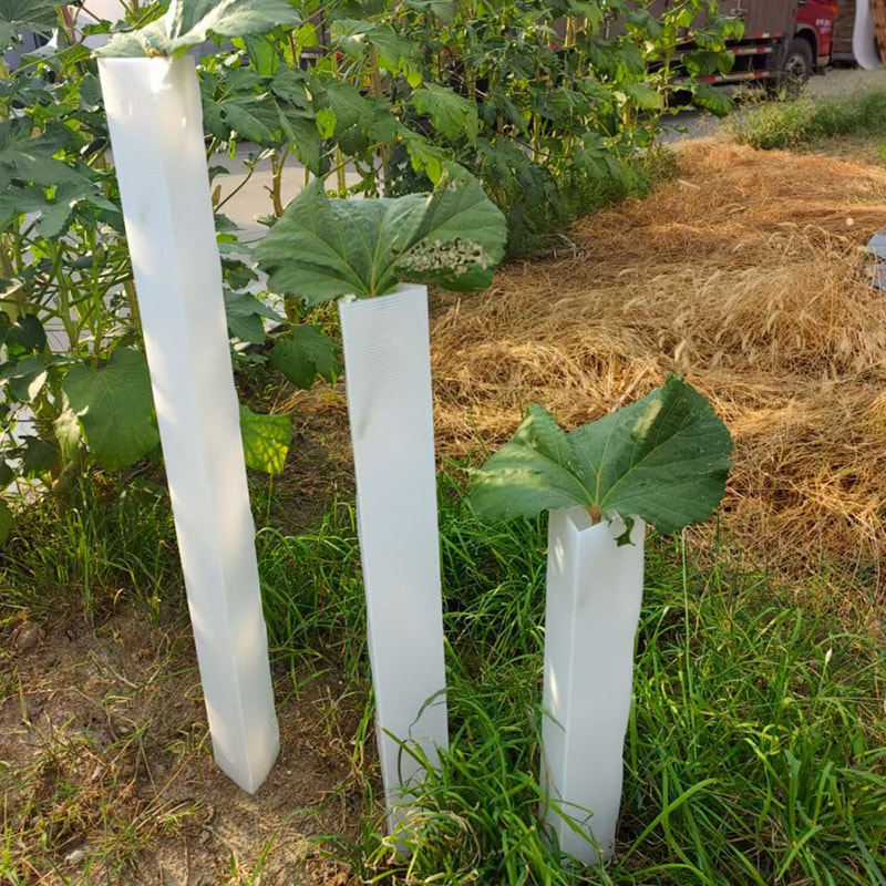 Anti-Isırık Oluklu Plastik Fidan Ağacı Koruma Tüpü