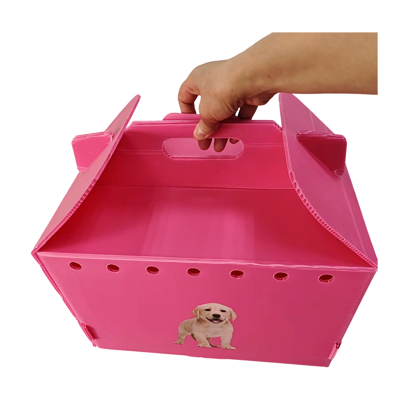 Katlanabilir Çok Hava Delikli Oluklu Plastik Evcil Hayvan Taşıyıcı